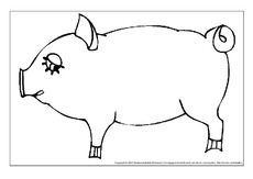 Schwein.pdf